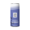 Sparkling Water – Blueberry